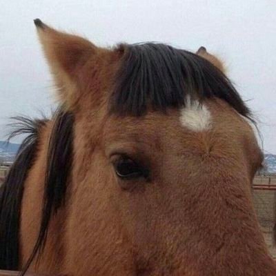 _twidashie's profile picture. you were always my one and only weakness.