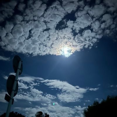 pom_jp03's profile picture. Web制作