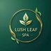 Lush Leaf (@lushleaf40) Twitter profile photo Lush Leaf (@lushleaf40) Twitter profile photo