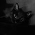 Jasper (@heyjasper__) Twitter profile photo Jasper (@heyjasper__) Twitter profile photo