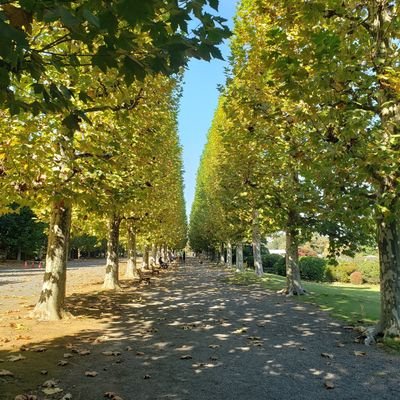 nobumi5550's profile picture. まだまだ初心者ですが、木軸ペン、匠衆・朱椿粋「あけつばき」(旧ウッドペンクラフト)好きです。
きれいな字を書けるよう少しずつ練習中。
ランニングも少しずつ🏃‍♂️
無言フォロー失礼します🙇
見ていただいてありがとうございます。
