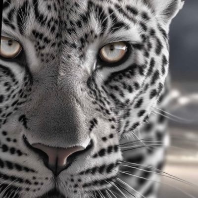 nuunu78's profile picture. 