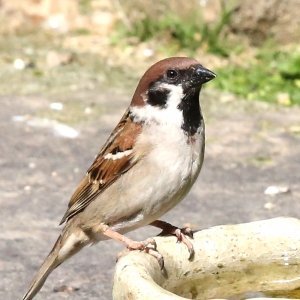 @e9gLiDvVLa27652