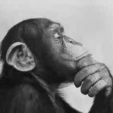 RageBaitOnSol's profile picture. chill out bro who asked? Ak1ZjuCCQbNEjDhe9xwELA9iDX6VPhftcVSzRbibpump