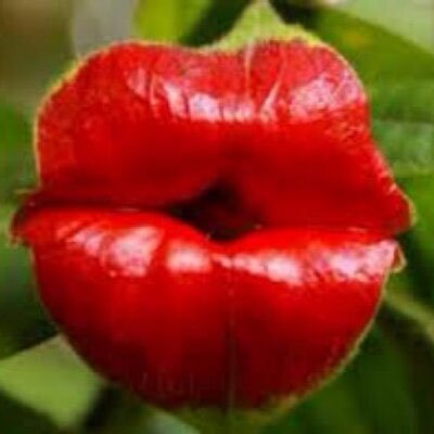 J4y464's profile picture. 