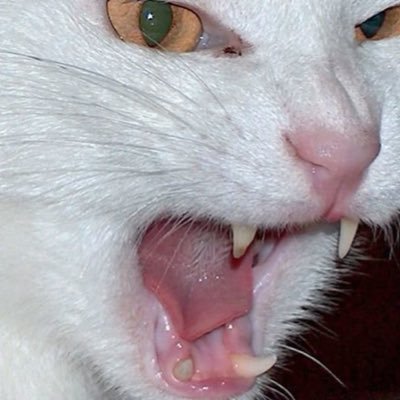 hola_cet_hiver's profile picture. 매번 새로운 두리번거림이 나쁘진 않았다