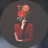 Fatima🌷 (@fmn_28) Twitter profile photo