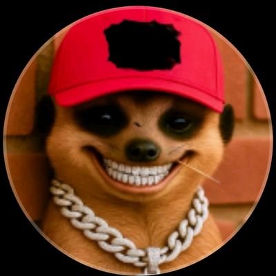 HyginusbigG's profile picture. changing life true web3 space 🚀