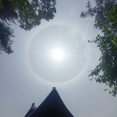 yi2395752038396's profile picture. 夜空の月を観るのが好きです。
世界が家族になれば良いな。
DM難しいです。😖