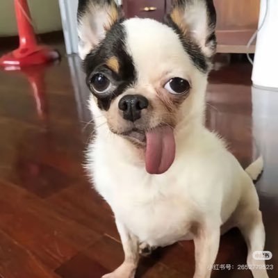 cleartea233's profile picture. 