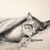 Gato y Manta (@gatoymanta) Twitter profile photo Gato y Manta (@gatoymanta) Twitter profile photo
