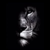 AslaN (@isbayyavuz) 's Twitter Profile