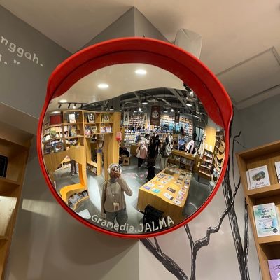 haiiromilady's profile picture. fan account. anime. manhwa/nga. movies. novel. music. lads. genshin.