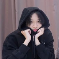 mimosoluve (@mimosoluve85260) 's Twitter Profile