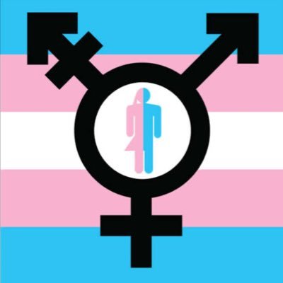 Sarawrapp's profile picture. welcome to a legit trans management we offer trans at cheap rate Dm if interested