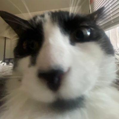 bscott298's profile picture. ✝️ - 🎣 - 🏈 - 🏎️