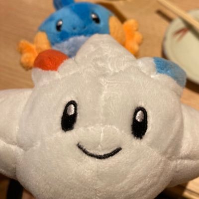 成人済みポケモンファンです✨ 無言フォロー失礼します。