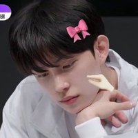 姐姐 (@geonpaw) 's Twitter Profile