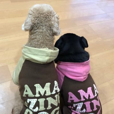 2016年7月27日 交通事故により第3胸椎圧迫骨折 脊髄損傷 同じような方の生活情報など教えていただければ幸いです! 野球特にホークスが大好きです!♂ DM通知してないのでリプしか気づきません💦 フォローいただいてもツイートしてない方はフォロバしません。