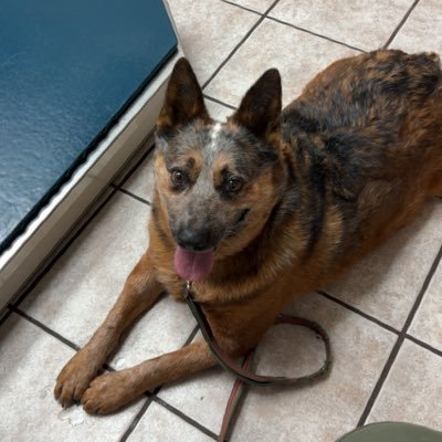 Copemint54's profile picture. Jesús Christ, My wife, MLB The Show, and Chipotle are basically what make up my life.