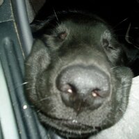 mike (@mneel55) 's Twitter Profile