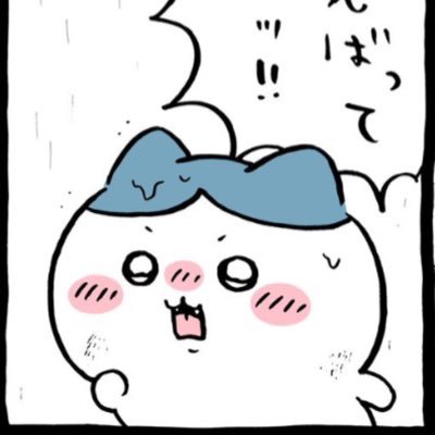 ray_zero555's profile picture. がんばることをやめた。毎日がちい活。言いたいことだけ。誤字おおめ。ハチワレ担。ちいかわ好きの人と仲良くなりたい。ちいかわ垢には無言フォロー失礼します。呼びタメ歓迎。ちいぽけむちゃむず。愛🐶はダックス。リプ反応なかったらごめん🙇‍♀️
