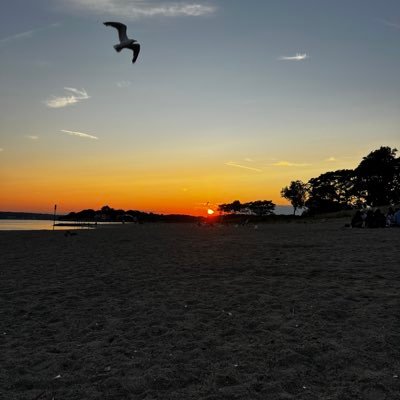 Juliangiannic's profile picture. 
