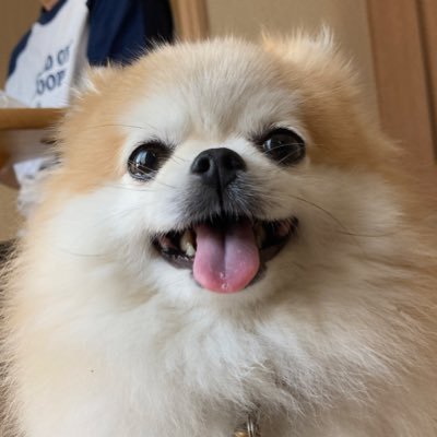 38歳の鉄オタです。(画像無断転載禁止) Youtube https://t.co/YixwIzXFRm @YouTubeより Amebaブログ https://t.co/7CavPzKkzO 台湾独立