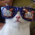 ねこちゃん (@diary__2024) Twitter profile photo ねこちゃん (@diary__2024) Twitter profile photo