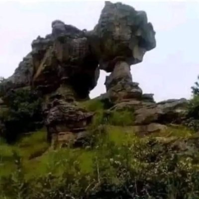 Anthony27439176's profile picture. I am a Kool and friendly guy