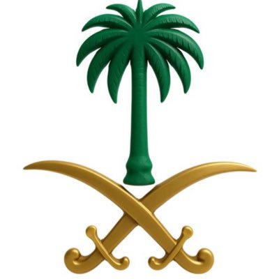 أستاذ الأدب والنّقد في الجامعة الإسلامية بالمدينة المنورة .