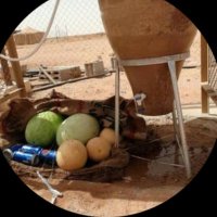 صابرين مسفر الشيباني🫦 (@8ghhfbqeu9wd2b0) 's Twitter Profile