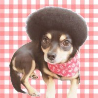 ちゃんまゆ (@chanmayu76) 's Twitter Profile