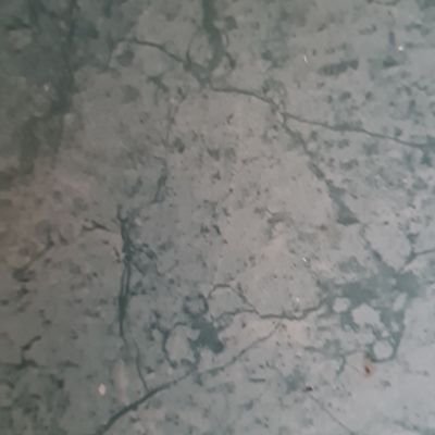 manz1079691's profile picture. Fun