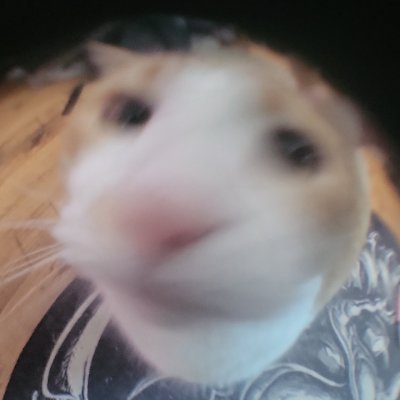 TSnlop's profile picture. Say my name, get aneurismed.