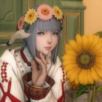 ぴま (@pimapima_xiv) 's Twitter Profile