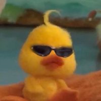 𝗞hálly Ħ 🧸 (@stevee_kh) 's Twitter Profile