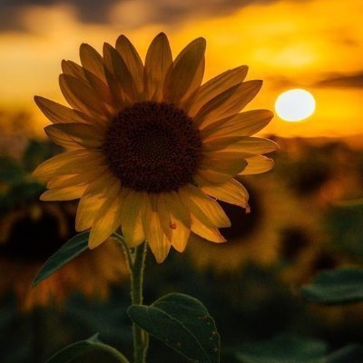 Famous motivational quotes and
sayings about life, success, confidence, courage, strength, inspiration, relationships & karma.