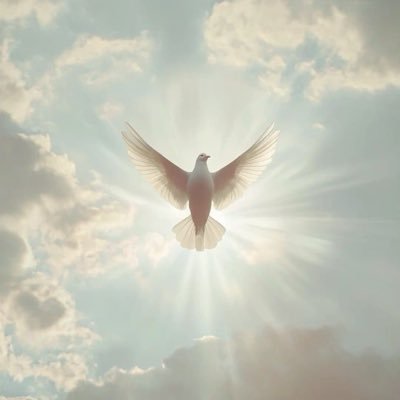 yaqin8888's profile picture. نور ✨