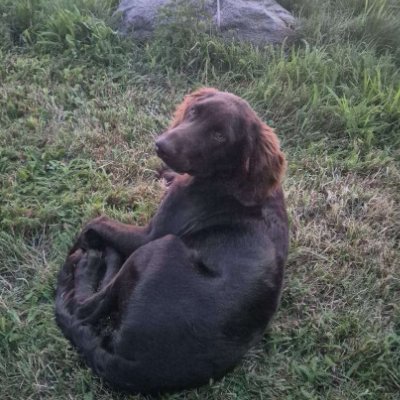 FraggerToToGoty's profile picture. 