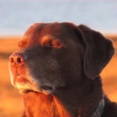 doingstuff_LRB's profile picture. Aspiring character designer and storyboard artist