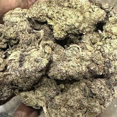 TrapNarcos1415's profile picture. 