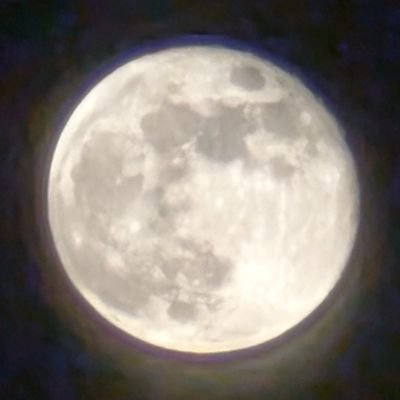 TheLargestArms's profile picture.