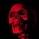 Currently rattling around on your timeline | 15 | Bisexual | NSFW DNI | May post art sometimes | Certified Skeleton Lover!