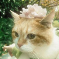 madina (@madina_mtf) 's Twitter Profile