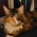 Elise R (@erankrobin) Twitter profile photo Elise R (@erankrobin) Twitter profile photo