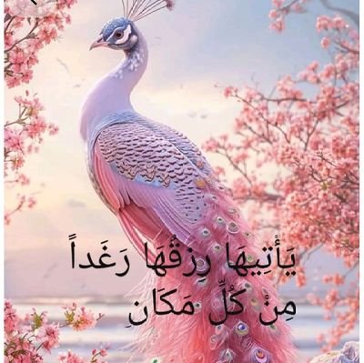 🕊️
Jupiter and sun in Sagittarius
أنوي تفعيل طاقات المال، الخير، الثراء في حياتي
بكل قوة💷💳💰💡🪙💸🤍
طاقة خزائن الكون، و ملكوته، تتوافق مع ذبذباتي✨