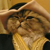 π¬πππΎπ·πΆ (@qu_2007t) 's Twitter Profile
