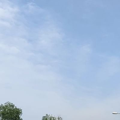 DragonzRozez's profile picture. v top  Slim Fit Big Dick /B/VB want meet? kulim Penang only