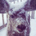 cookie (@antlerhaver) Twitter profile photo cookie (@antlerhaver) Twitter profile photo